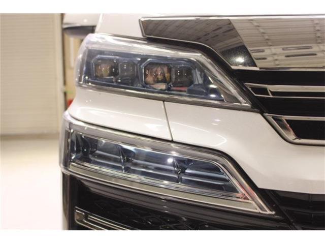 ヴェルファイア(新潟県新潟市東区)