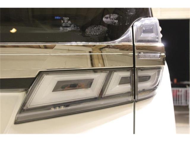 ヴェルファイア(新潟県新潟市東区)