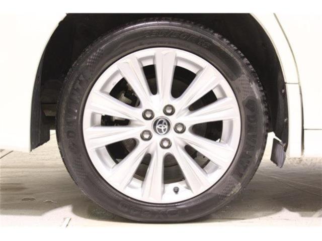 ヴェルファイア(新潟県新潟市東区)