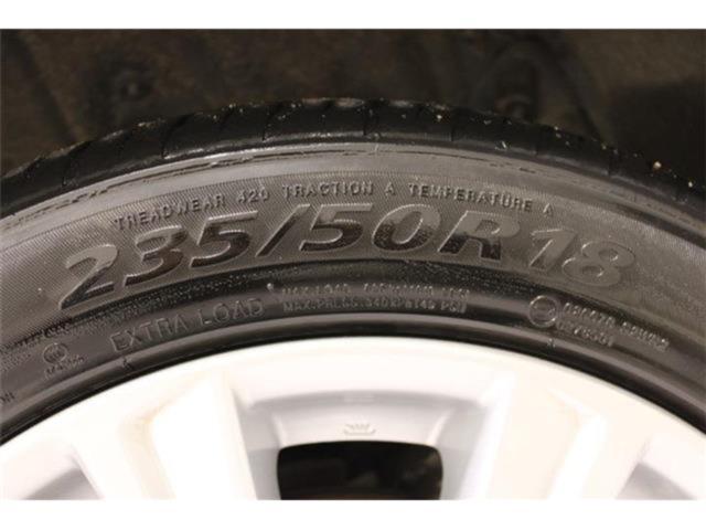 ヴェルファイア(新潟県新潟市東区)