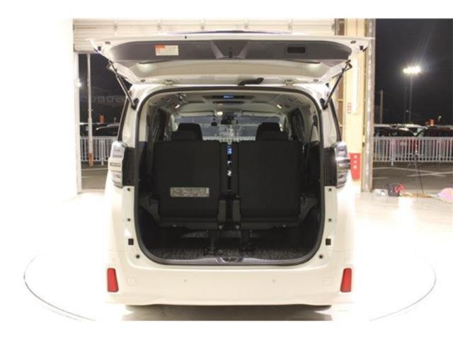 ヴェルファイア(新潟県新潟市東区)