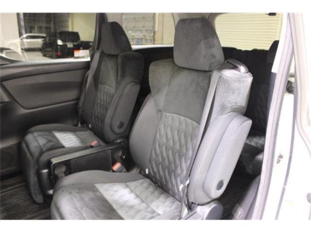 ヴェルファイア(新潟県新潟市東区)