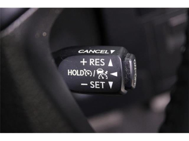 ヴェルファイア(新潟県新潟市東区)