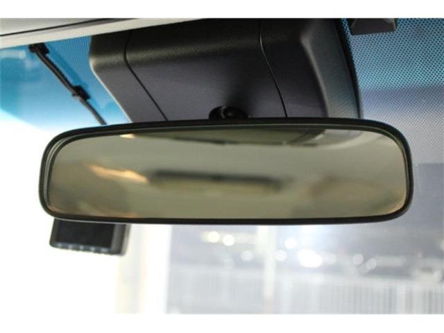 ヴェルファイア(新潟県新潟市東区)