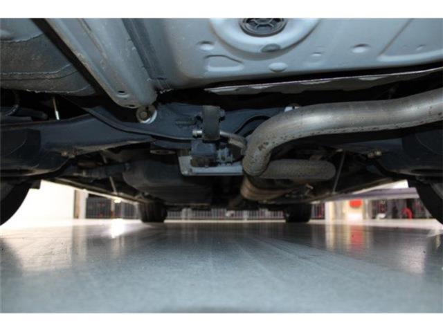 ヴェルファイア(新潟県新潟市東区)