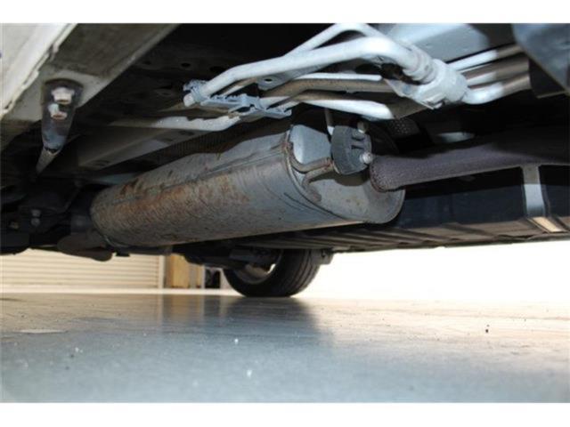 ヴェルファイア(新潟県新潟市東区)