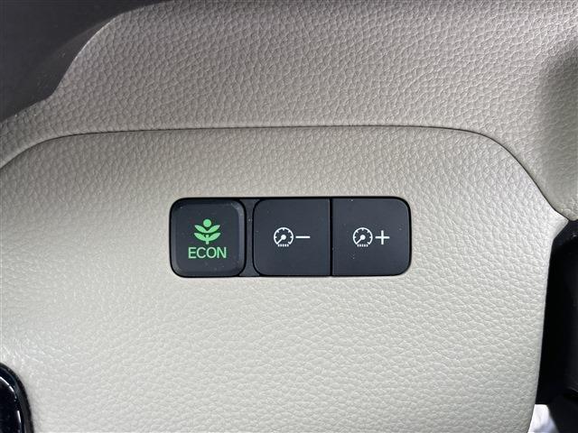 N_BOX(新潟県柏崎市)