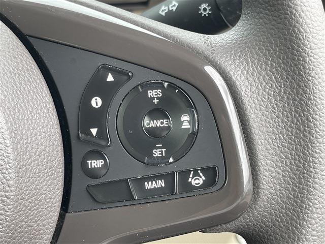 N_BOX(新潟県柏崎市)