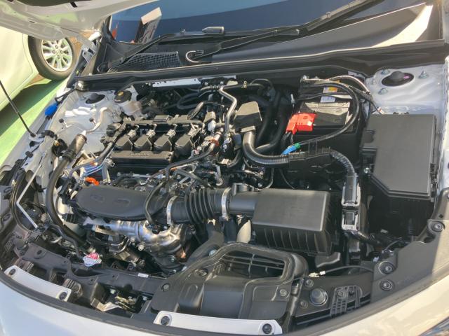 シビック(新潟県長岡市)