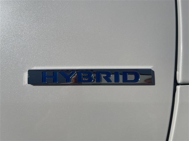 デリカミニ(新潟県柏崎市)