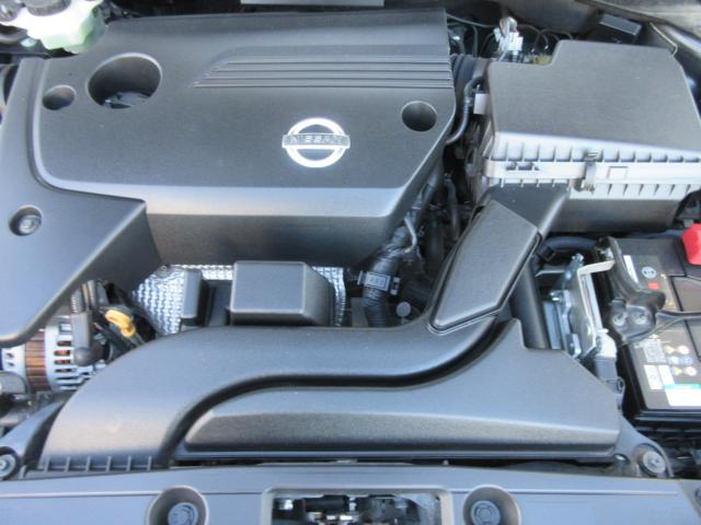 ティアナ（新潟県新潟市東区）