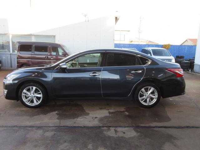 ティアナ（新潟県新潟市東区）