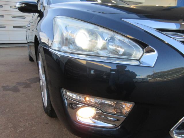 ティアナ（新潟県新潟市東区）