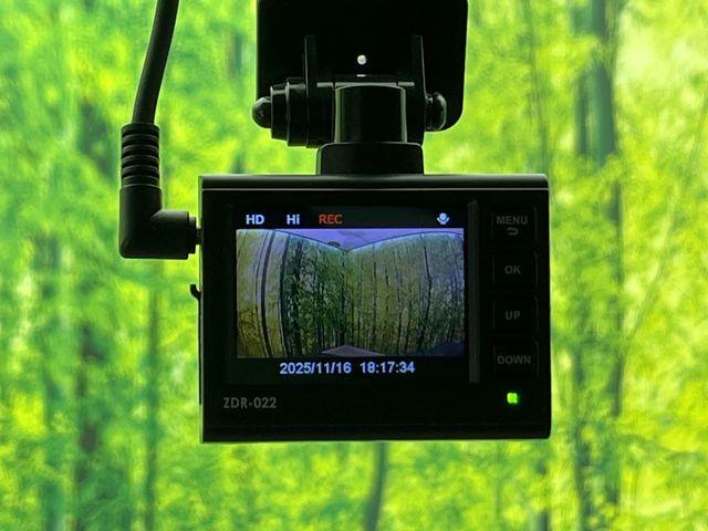 ハスラー(新潟県新潟市南区)