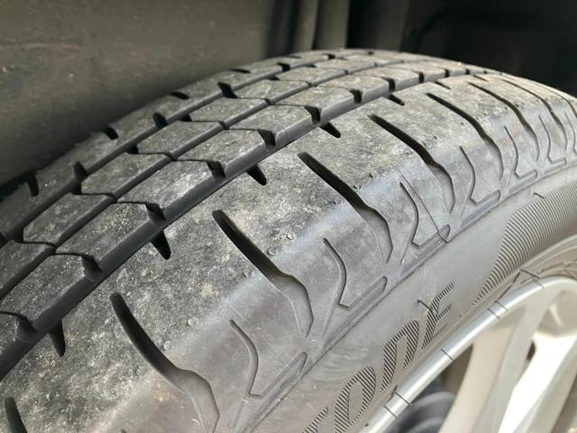 ステラ（新潟県新潟市西区）画像31