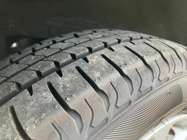 ステラ（新潟県新潟市西区）画像32