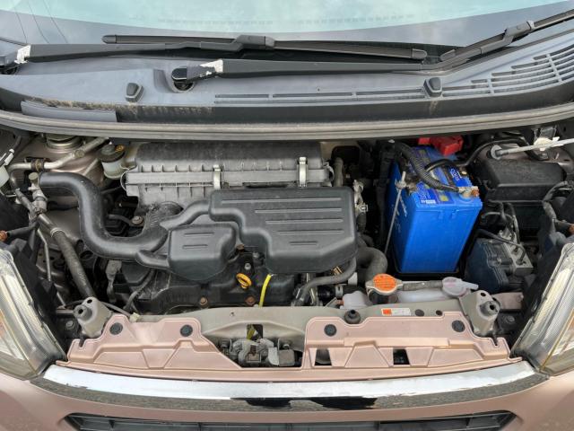 ステラ（新潟県新潟市西区）画像39