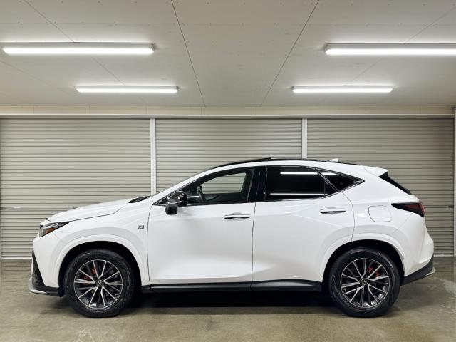 レクサスＮＸ（新潟県長岡市）画像34