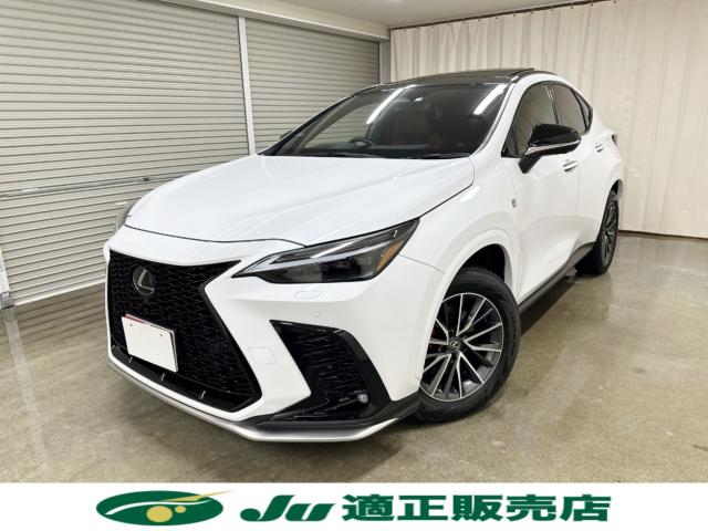 レクサスＮＸ（新潟県長岡市）画像2