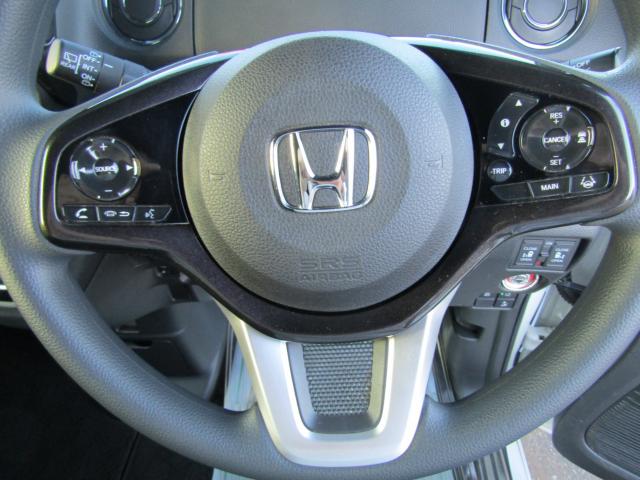 N_BOXカスタム(新潟県糸魚川市)