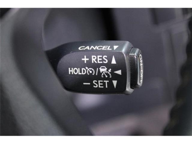 ヴェルファイア(新潟県新潟市東区)