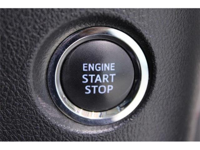 ヴェルファイア(新潟県新潟市東区)