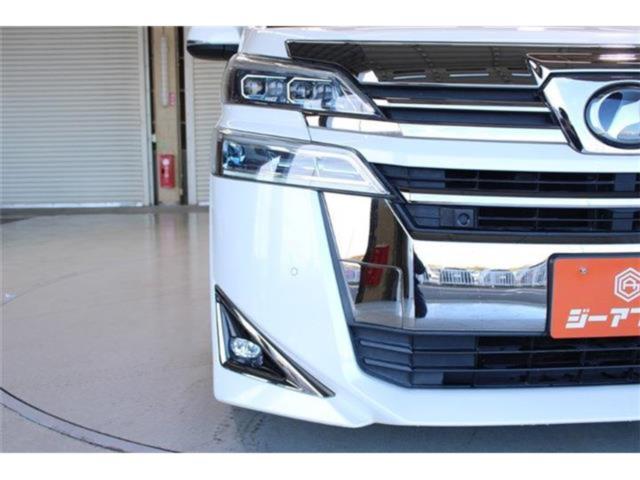 ヴェルファイア(新潟県新潟市東区)