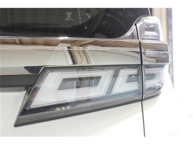 ヴェルファイア(新潟県新潟市東区)