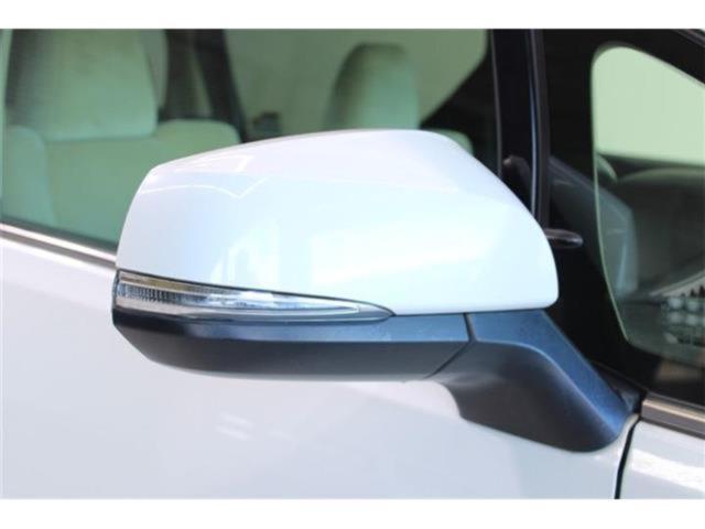 ヴェルファイア(新潟県新潟市東区)