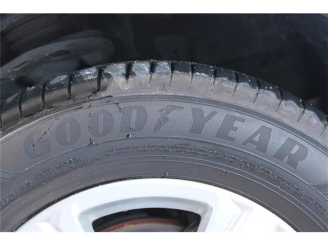 ヴェルファイア(新潟県新潟市東区)