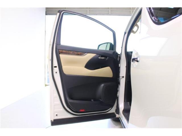 ヴェルファイア(新潟県新潟市東区)