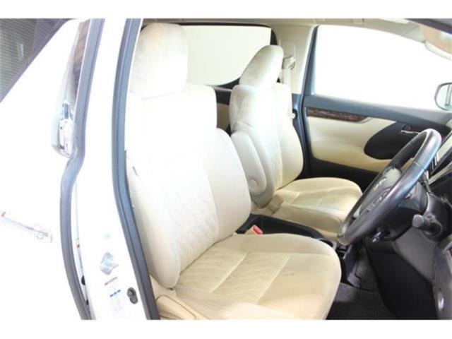 ヴェルファイア(新潟県新潟市東区)