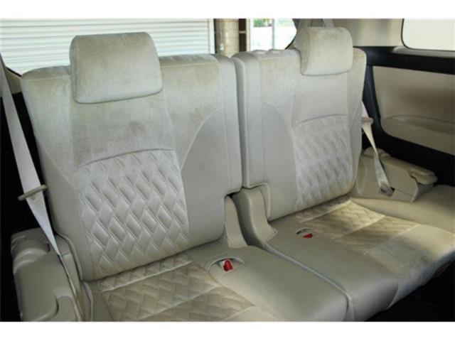 ヴェルファイア(新潟県新潟市東区)