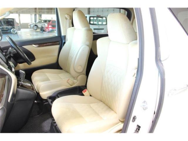 ヴェルファイア(新潟県新潟市東区)