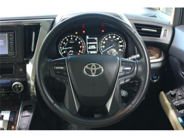 ヴェルファイア(新潟県新潟市東区)