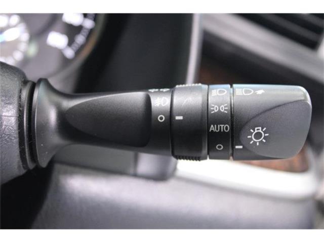 ヴェルファイア(新潟県新潟市東区)