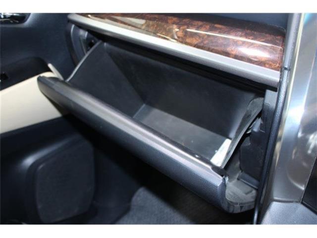 ヴェルファイア(新潟県新潟市東区)