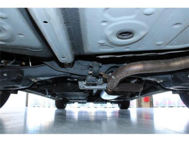 ヴェルファイア(新潟県新潟市東区)