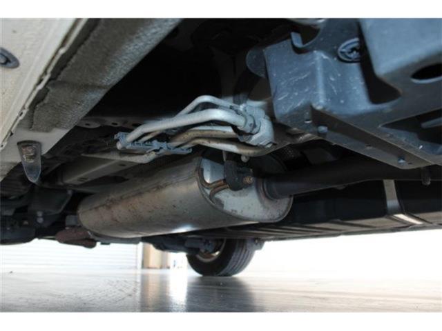 ヴェルファイア(新潟県新潟市東区)