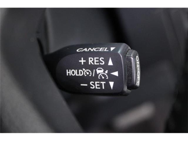 ヴェルファイア(新潟県新潟市東区)