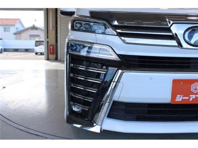 ヴェルファイア(新潟県新潟市東区)