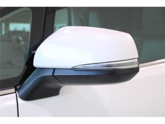 ヴェルファイア(新潟県新潟市東区)