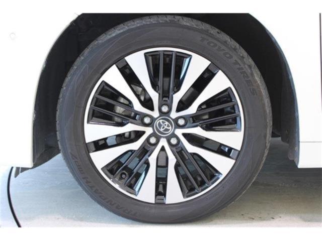 ヴェルファイア(新潟県新潟市東区)