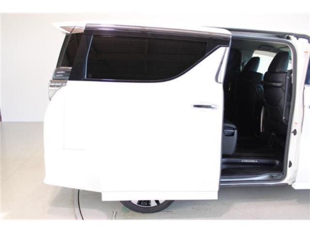 ヴェルファイア(新潟県新潟市東区)