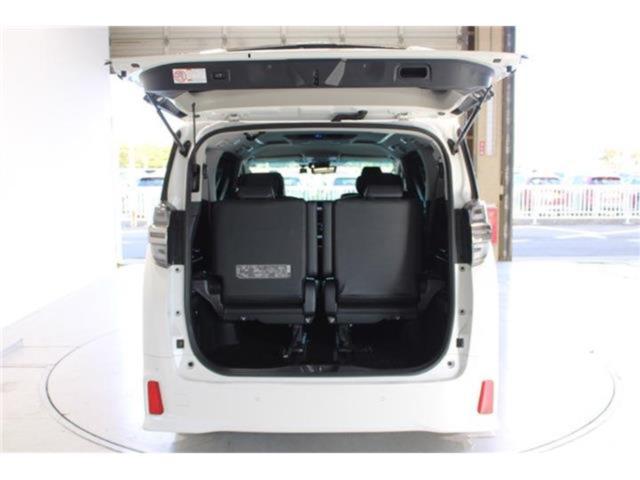 ヴェルファイア(新潟県新潟市東区)