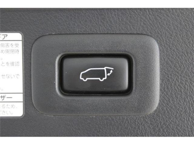 ヴェルファイア(新潟県新潟市東区)