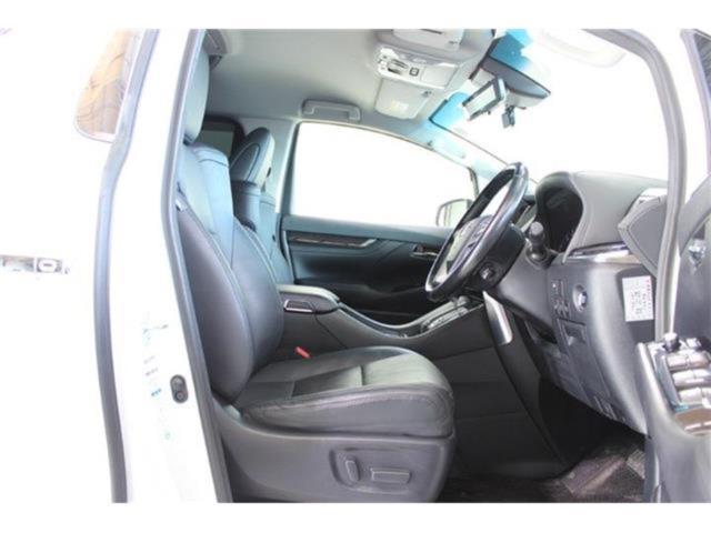 ヴェルファイア(新潟県新潟市東区)