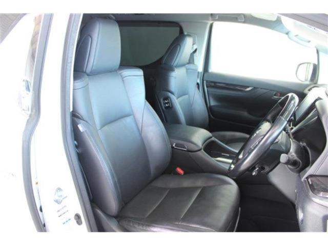 ヴェルファイア(新潟県新潟市東区)