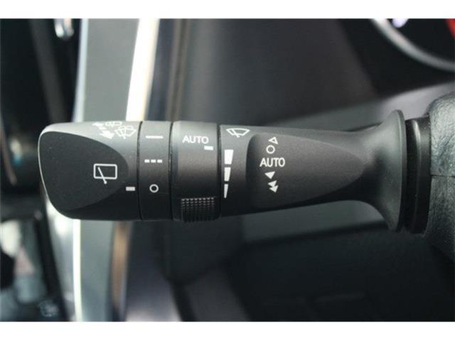 ヴェルファイア(新潟県新潟市東区)