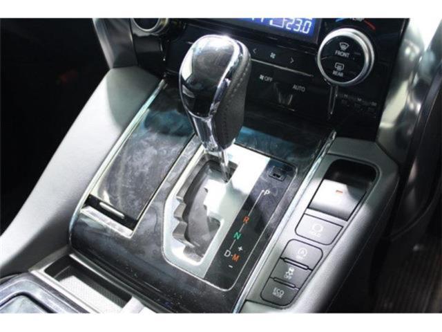 ヴェルファイア(新潟県新潟市東区)